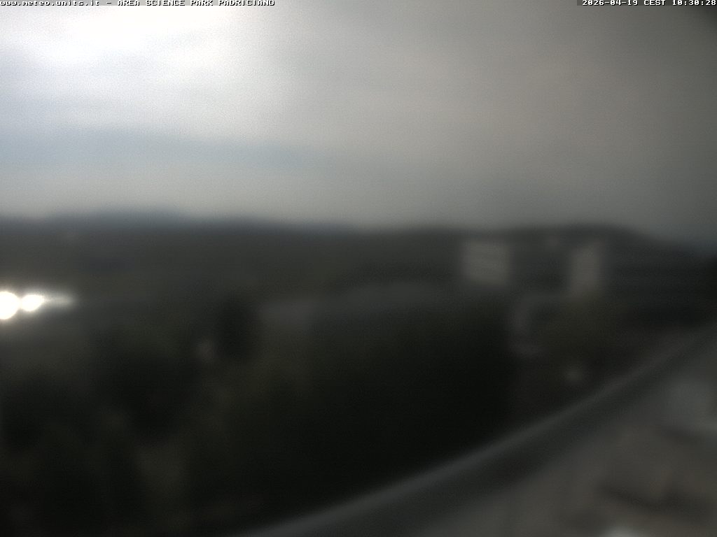 Camera Live Image