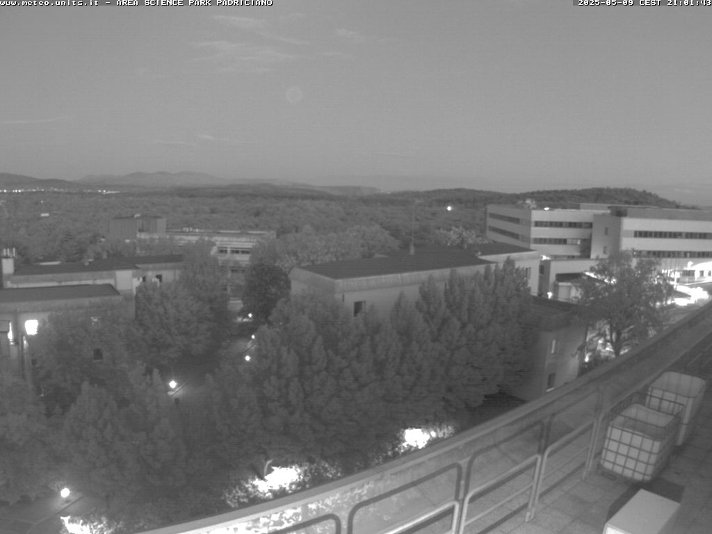 Camera Live Image